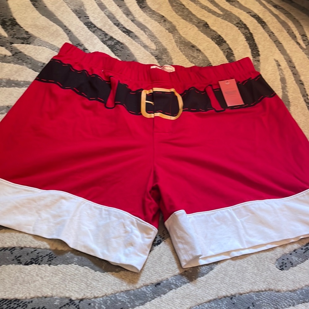 NWT SANTA BOXERS